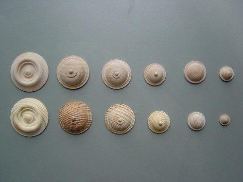 Rosette-Aplikation-Püpchen-Wa