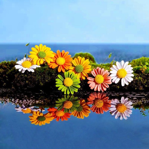 Damen gänseblümchen brosche - damen,